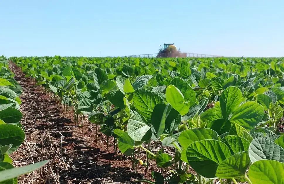 10 Benefícios do Adjuvante Agrícola para sua Colheita