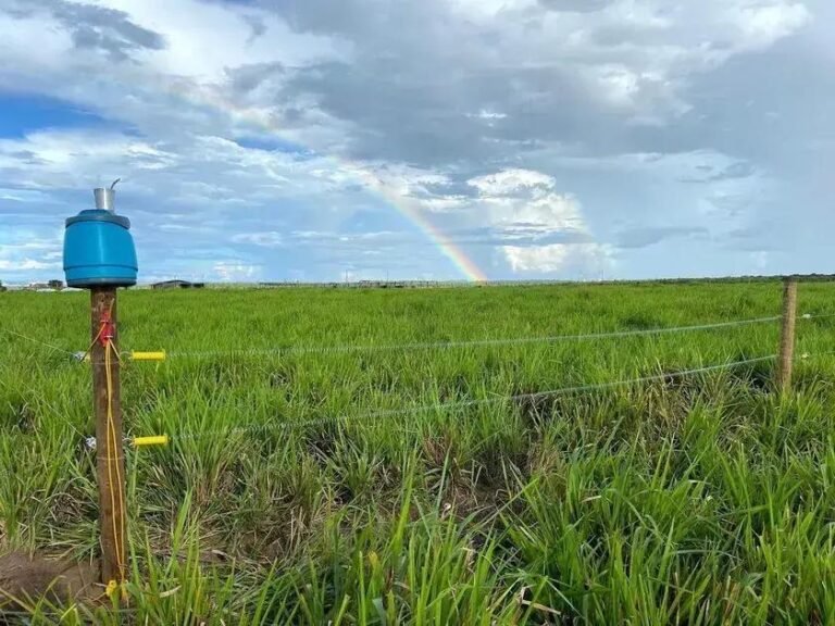 5 Dicas Essenciais para Manutenção de Cerca Elétrica