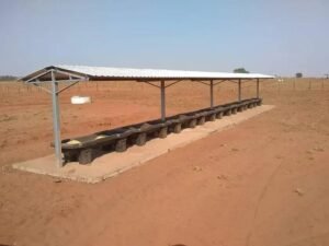 5 Tipos de Cochós para Bovinos que Você Precisa Conhecer