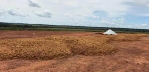 8 Dicas Incríveis para Usar o DDG Eficientemente