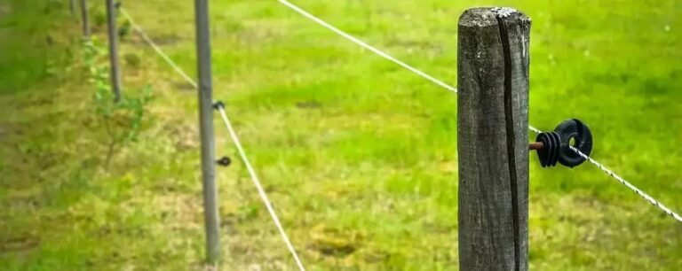 8 Vantagens da Cerca Elétrica para Sua Segurança