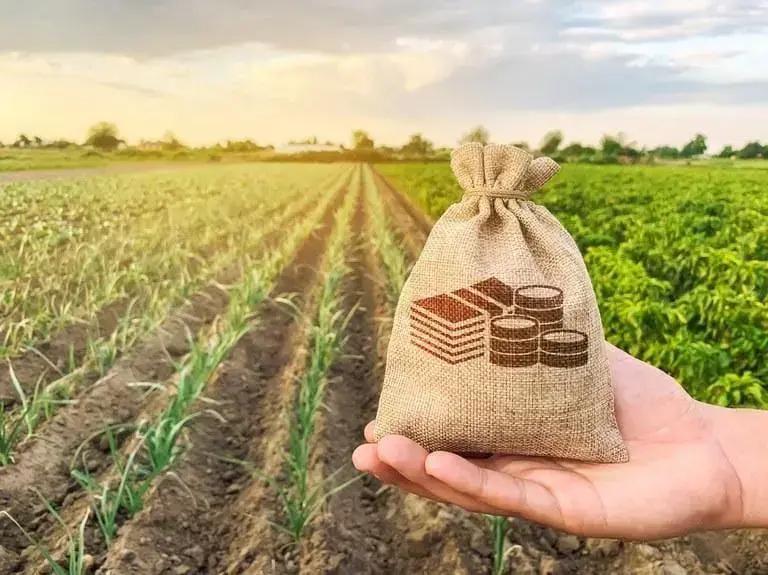 8 Vantagens de Pertencer a uma Cooperativa Agrícola