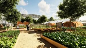 Área Demonstrativa do Sistema ILPF na Feicorte 2024