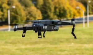 Como Fazer o Controle de Gado na Propriedade?