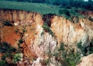 Erosão do Solo: Como Prejudica a Pastagem dos Bovinos?