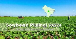 MT Inicia Plantio da Safra 2024/25 de Soja: O Que Esperar?