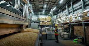 10 Fábricas de Ração que Transformam o Agronegócio Brasileiro