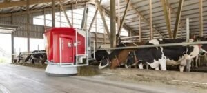 8 Fatores Cruciais para o Sucesso de uma Fábrica de Ração