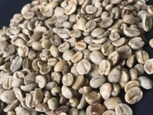 8 Tipos de Classificação do Café que Todo Produtor Deve Conhecer