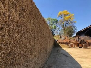 8 Tipos de Silos e Seus Benefícios na Armazenagem de Grãos