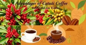 8 Vantagens do Catuaí Café que Você Precisa Conhecer