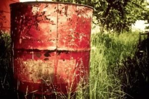 Botulismo Bovino: 6 Formas de Evitar Mortes no Seu Rebanho