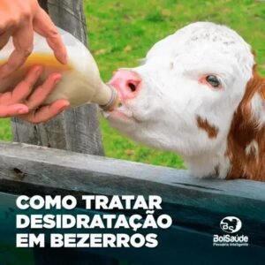 Como Tratar a Desidratação em Bezerros com Soro Alcalinizante