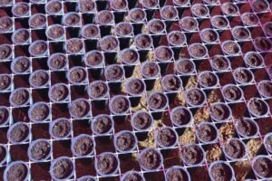 Os 8 Tamanhos de Tubete e Suas Aplicações na Agricultura