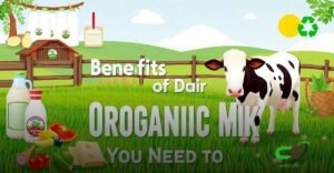 8 Benefícios do Leite Orgânico que Você Precisa Conhecer