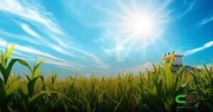 8 Fatores que Influenciam o Clima do Milho Verde