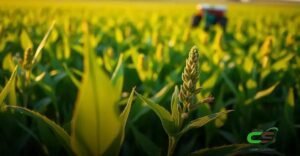 8 Fatos Surpreendentes sobre a Língua de Vaca como Planta Daninha