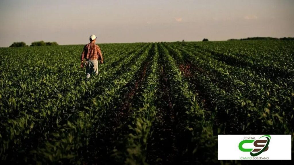 5 Razões Pelas Quais a Farm Bill é Crucial para Produtores dos EUA