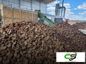 5 Vantagens do Sorgo-Biomassa na Geração de Energia no Brasil