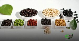 8 Tipos de Feijão no Brasil que Você Precisa Conhecer