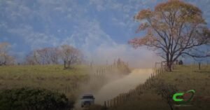 5 Estratégias Eficazes para Recuperação de Pastagens Degradadas no Cerrado