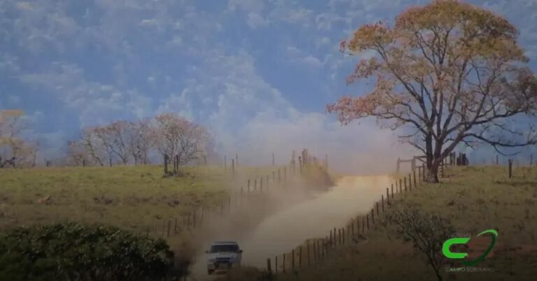 5 Estratégias Eficazes para Recuperação de Pastagens Degradadas no Cerrado