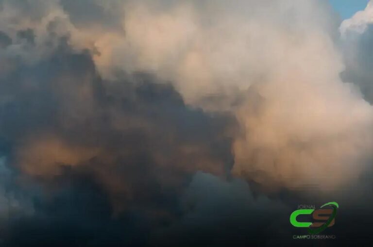 5 Fatos Surpreendentes sobre a Previsão do Tempo no Brasil