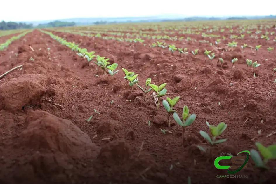 5 Maneiras que a Agricultura Digital Reduz Perdas na Soja