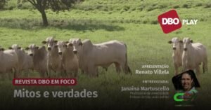 5 Mitos e Verdades sobre Cuidados na Formação do Pasto
