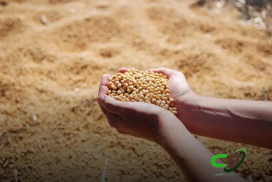 Cargill Conclui Aquisição da Processadora de Grãos: O Que Isso Significa