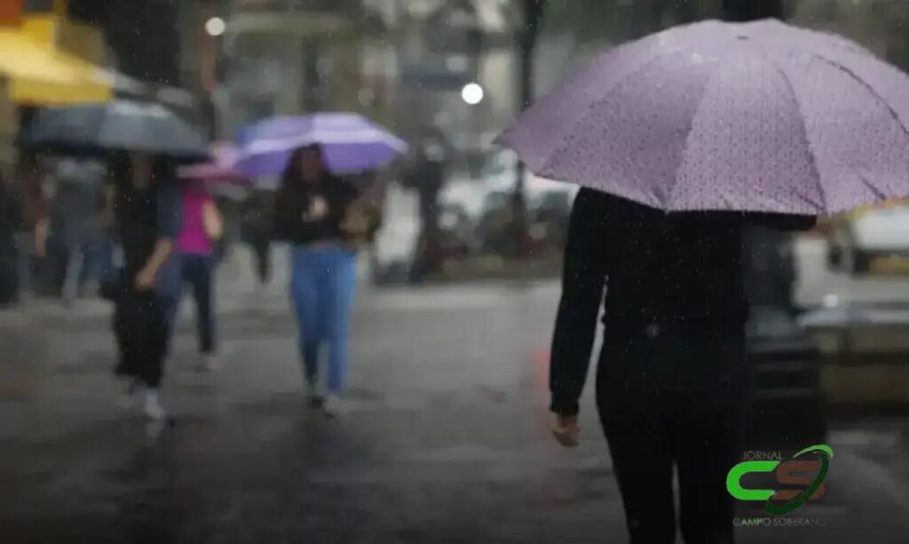 Chuvas em SP: Deslizamentos e Alagamentos em Municípios