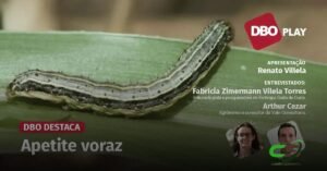 Como Combater Surtos de Lagartas Desfolhadoras no Brasil