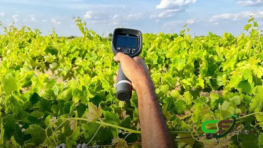 Como Temperaturas Acima da Média Afetam o Agro Brasileiro