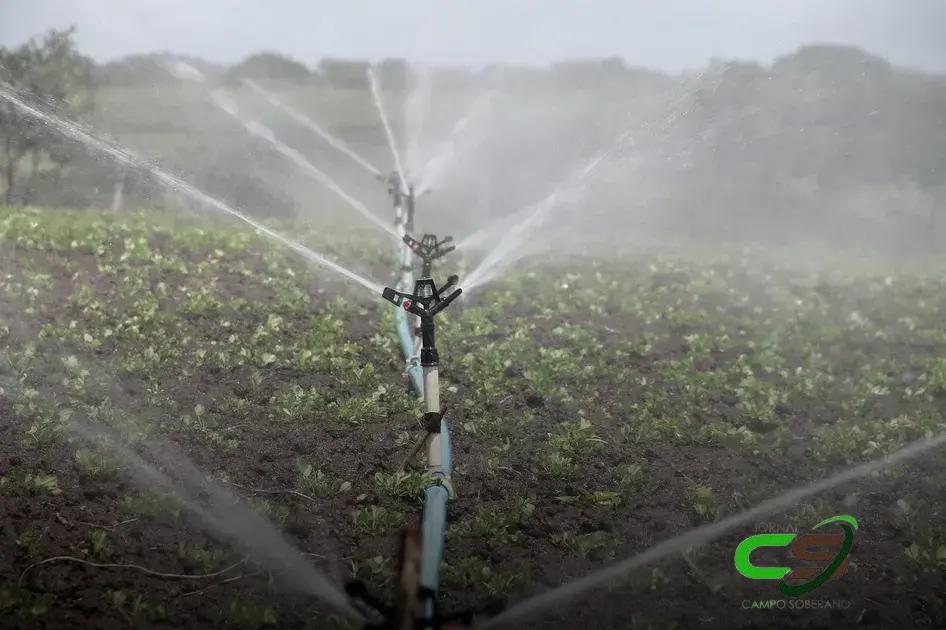 Crescimento da Agricultura Irrigada: 50% em 11 Anos!