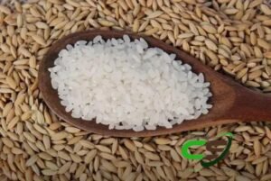 Exportações de Arroz: Impulsos e Desafios no Mercado Global
