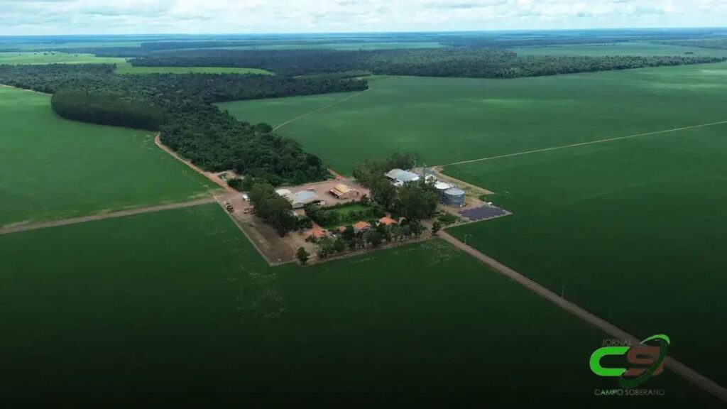 Falta 1 Mês para a Abertura Nacional da Colheita da Soja: O que Esperar