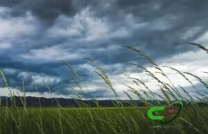 Frente Fria: Impactos e Previsões para o Sudeste