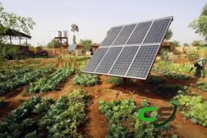 Geração de Energia Própria no Campo: Retorno de Investimento em Tempo Real