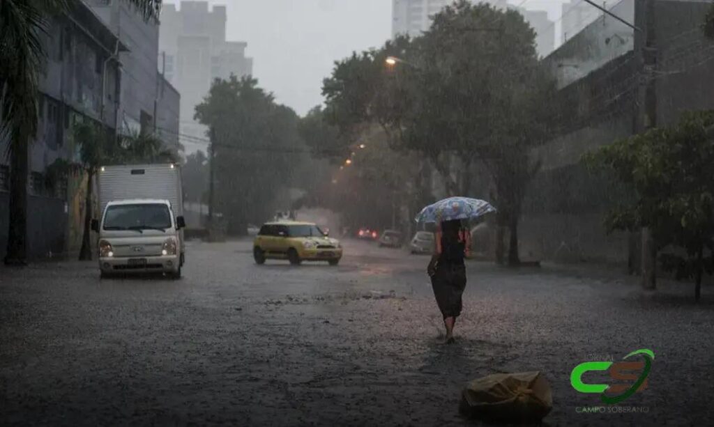 Janeiro 2024: Chuva Acima da Média em Várias Regiões