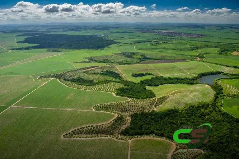 Produção Agropecuária 2023: Valor Bruto Estimado em R$ 1,216 Trilhão