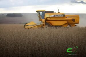 Safra 2024: Previsão de 295,1 mi de toneladas e Impactos