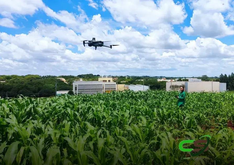 5 Maneiras que Drones Aceleram a Seleção de Milho Resistente à Seca