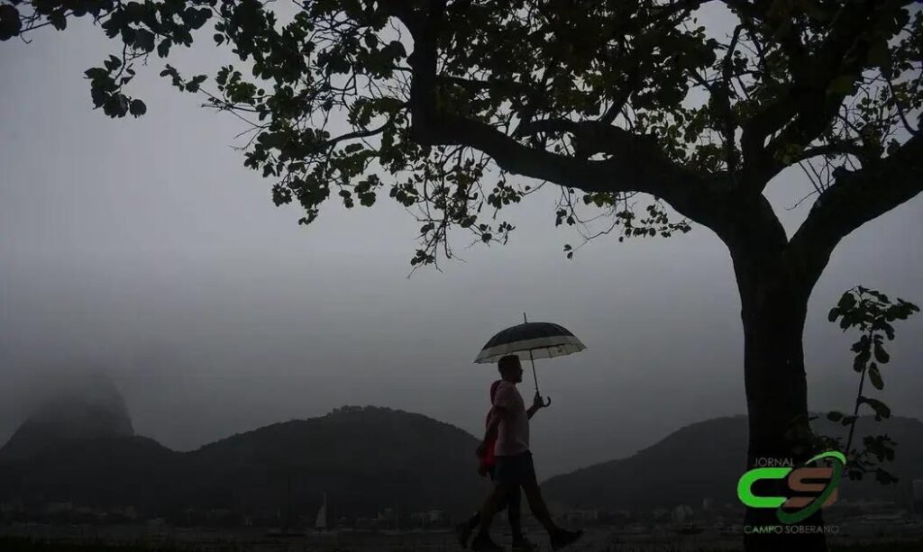 Chuva de Verão: Previsão e Impactos na Agricultura