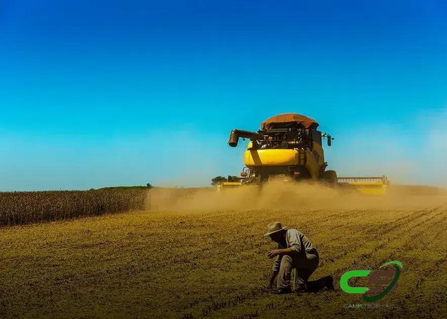 Colheita da Soja: Chuva e Desafios no Brasil Central