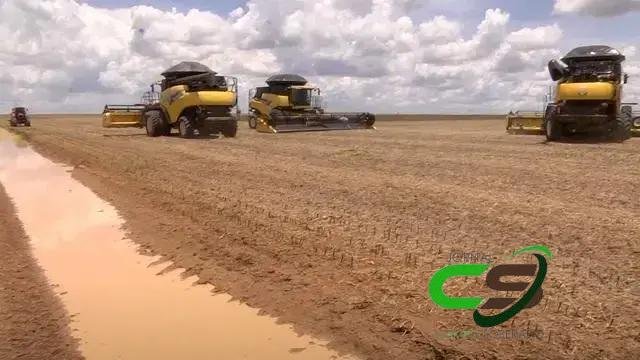 Colheita da Soja em Mato Grosso: Atualizações e Expectativas para 2023