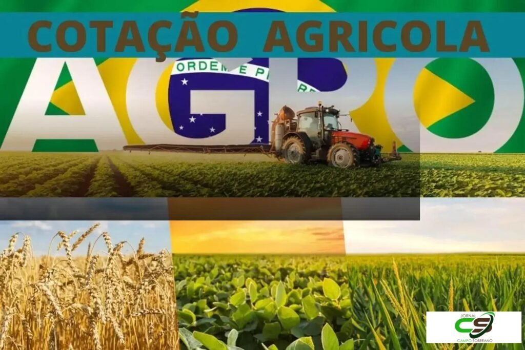 Cotações de Grãos: Preços do Milho e Soja em Alta no Mercado