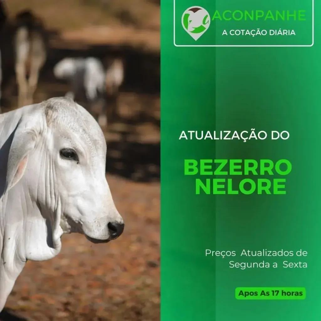 Cotações de Reposição no Agronegócio: O que Você Precisa Saber