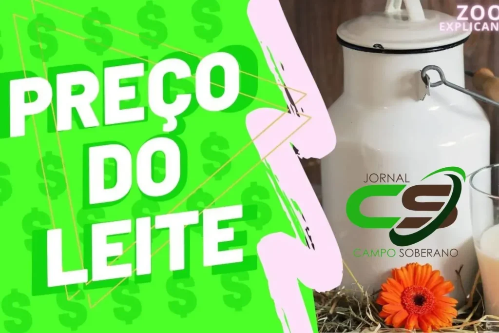 Cotações do leite de janeiro/25: confira os preços por região