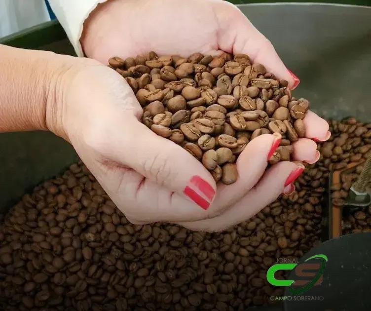 Embrapa Café: Guia Completo sobre Manejo Integrado para Produtores