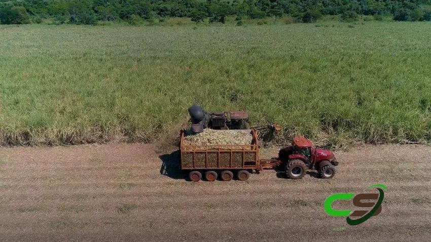 Exportações do Agronegócio Mineiro: Recorde de US$ 17,1 Bilhões em 2024